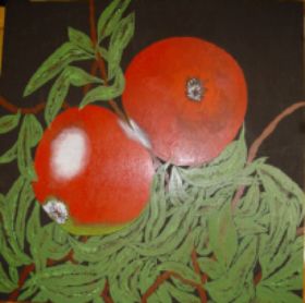twee appels.JPG
